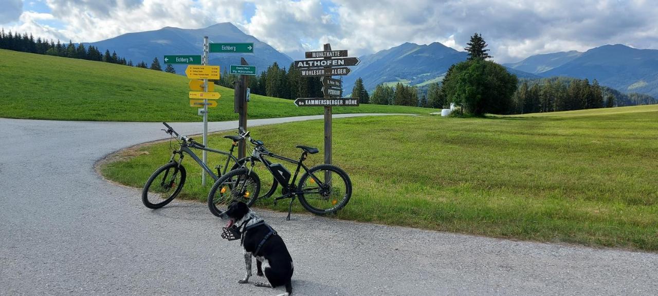 Camping Bella Austria Sankt Peter am Kammersberg 외부 사진