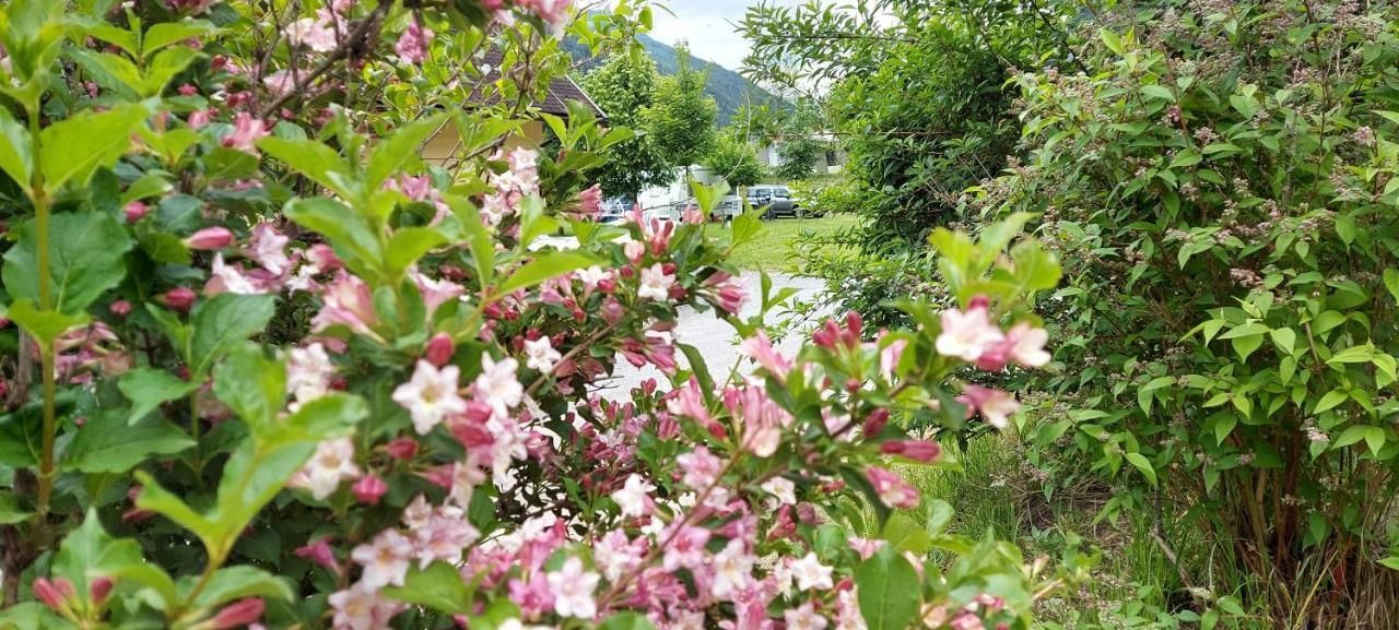 Camping Bella Austria Sankt Peter am Kammersberg 외부 사진