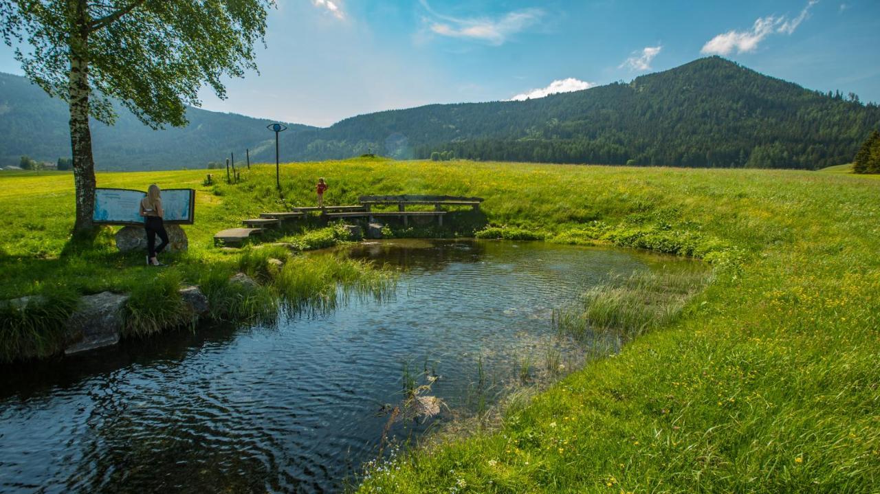 Camping Bella Austria Sankt Peter am Kammersberg 외부 사진